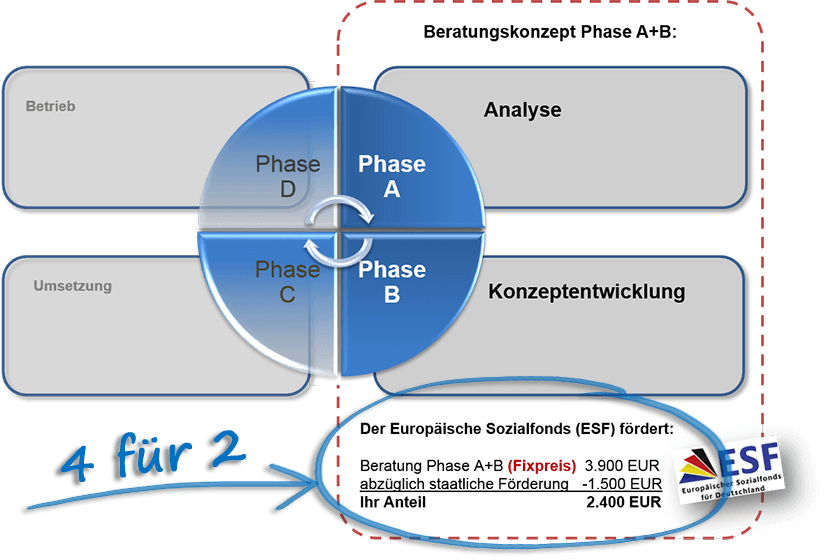 Die 4 Phasen