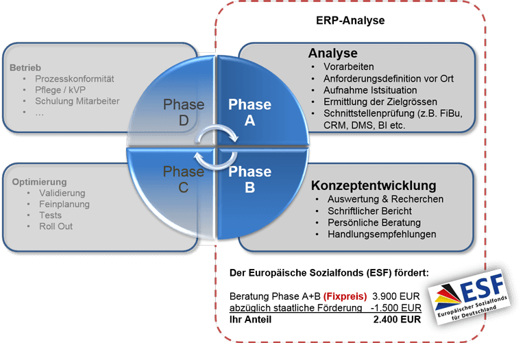 ERP-Analyse